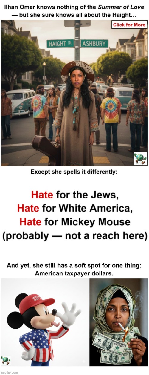 Is it fair to say that Ilhan Omar benefits from the U.S. system while strongly criticizing it? | image tagged in maga,conservative,minnesota | made w/ Imgflip meme maker