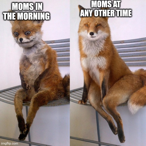 Before / After | MOMS AT ANY OTHER TIME; MOMS IN THE MORNING | image tagged in before / after | made w/ Imgflip meme maker