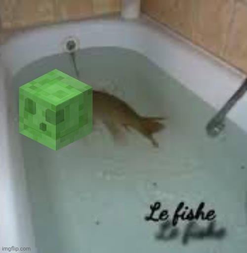 Le fishe au slime | image tagged in le fishe | made w/ Imgflip meme maker