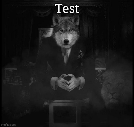 If this is approved, it's so over (posted on an alt) | Test | image tagged in wolf on a chair | made w/ Imgflip meme maker