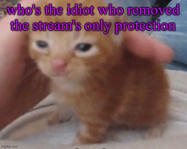 Herbert | who's the idiot who removed the stream's only protection | image tagged in herbert | made w/ Imgflip meme maker