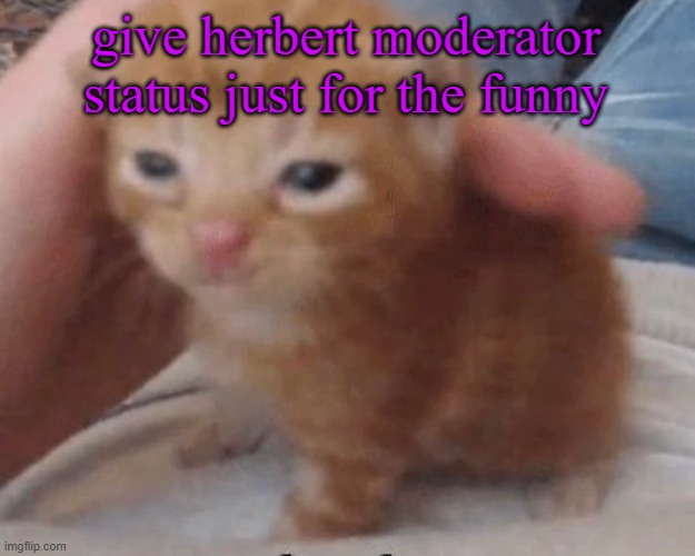 Herbert | give herbert moderator status just for the funny | image tagged in herbert | made w/ Imgflip meme maker