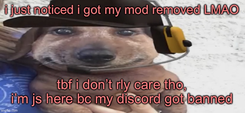 chucklenuts | i just noticed i got my mod removed LMAO; tbf i don’t rly care tho, i’m js here bc my discord got banned | image tagged in chucklenuts | made w/ Imgflip meme maker