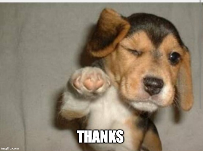 Feel better | THANKS | image tagged in feel better | made w/ Imgflip meme maker