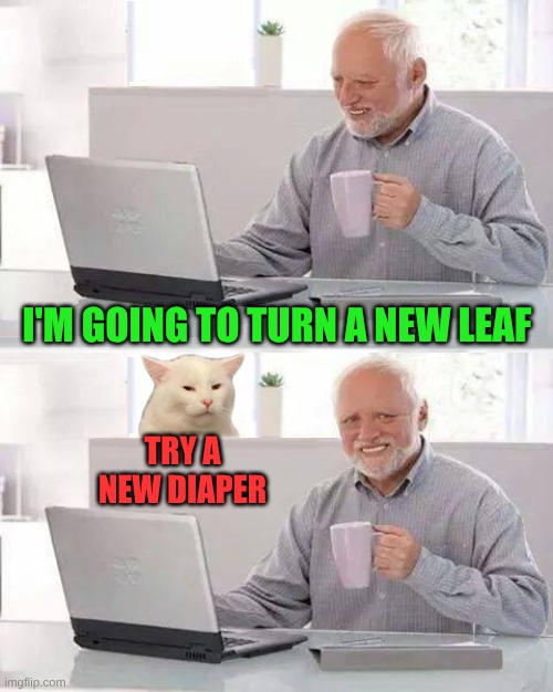 Hide The Smudge Harold | I'M GOING TO TURN A NEW LEAF; TRY A NEW DIAPER | image tagged in hide the smudge harold,hide the pain harold,smudge,incontinence,diaper | made w/ Imgflip meme maker