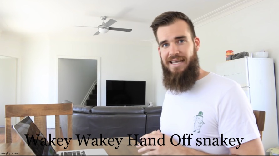 ANDREW WAKE UP | image tagged in wakey wakey hand off snakey | made w/ Imgflip meme maker