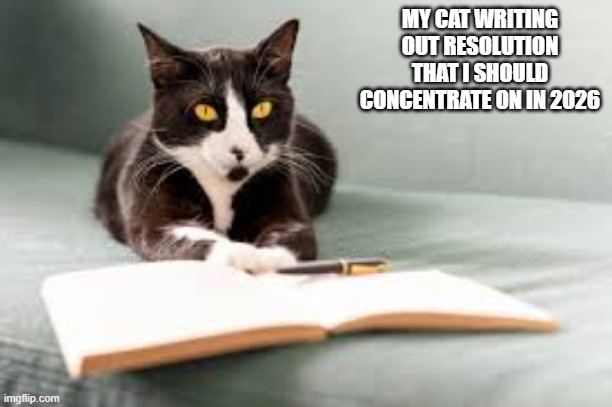 A picture of my cat writing out New Years resolutions that I should concentrate on. | MY CAT WRITING OUT RESOLUTION THAT I SHOULD CONCENTRATE ON IN 2026 | image tagged in cat,kittens,funny,humor,new years resolutions,new year | made w/ Imgflip meme maker