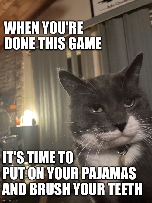 diapproval cat | WHEN YOU'RE DONE THIS GAME; IT'S TIME TO PUT ON YOUR PAJAMAS AND BRUSH YOUR TEETH | image tagged in diapproval cat | made w/ Imgflip meme maker