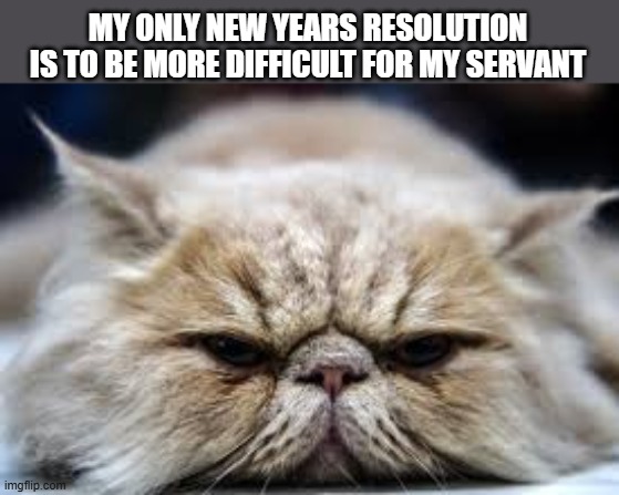 My cats only New Years resolution is to be more difficult.     --  funny  -- | MY ONLY NEW YEARS RESOLUTION IS TO BE MORE DIFFICULT FOR MY SERVANT | image tagged in cat,kittens,funny,humor,new years resolutions,new year | made w/ Imgflip meme maker