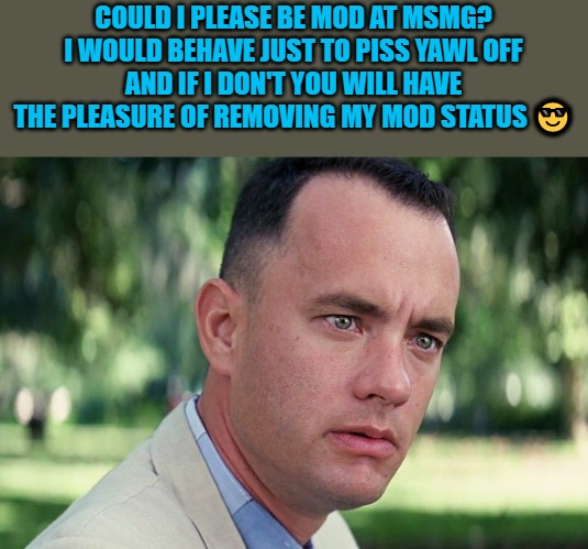 mod please. | COULD I PLEASE BE MOD AT MSMG?
I WOULD BEHAVE JUST TO PISS YAWL OFF
AND IF I DON'T YOU WILL HAVE THE PLEASURE OF REMOVING MY MOD STATUS 😎 | image tagged in mod please,kewlew | made w/ Imgflip meme maker