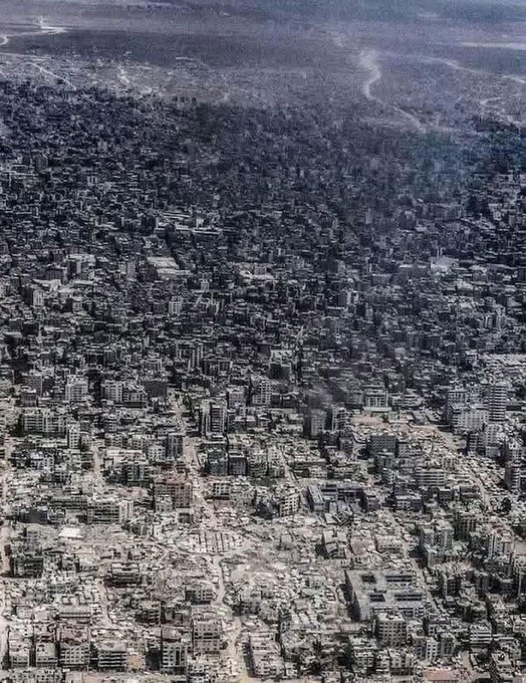 Palestinian genocide Blank Meme Template