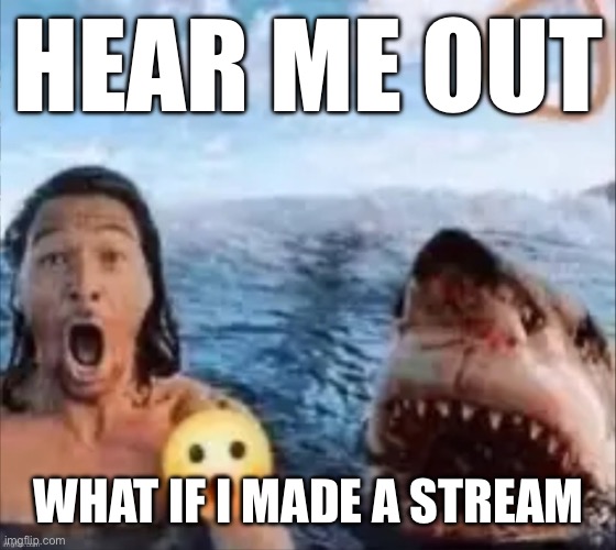 Shark | HEAR ME OUT; WHAT IF I MADE A STREAM | image tagged in shark | made w/ Imgflip meme maker