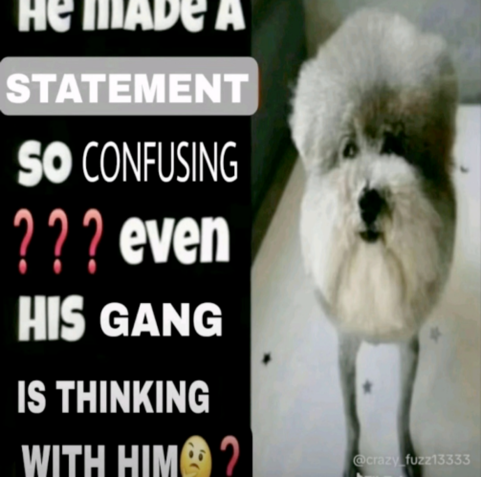 He made a statement so confusing Blank Meme Template