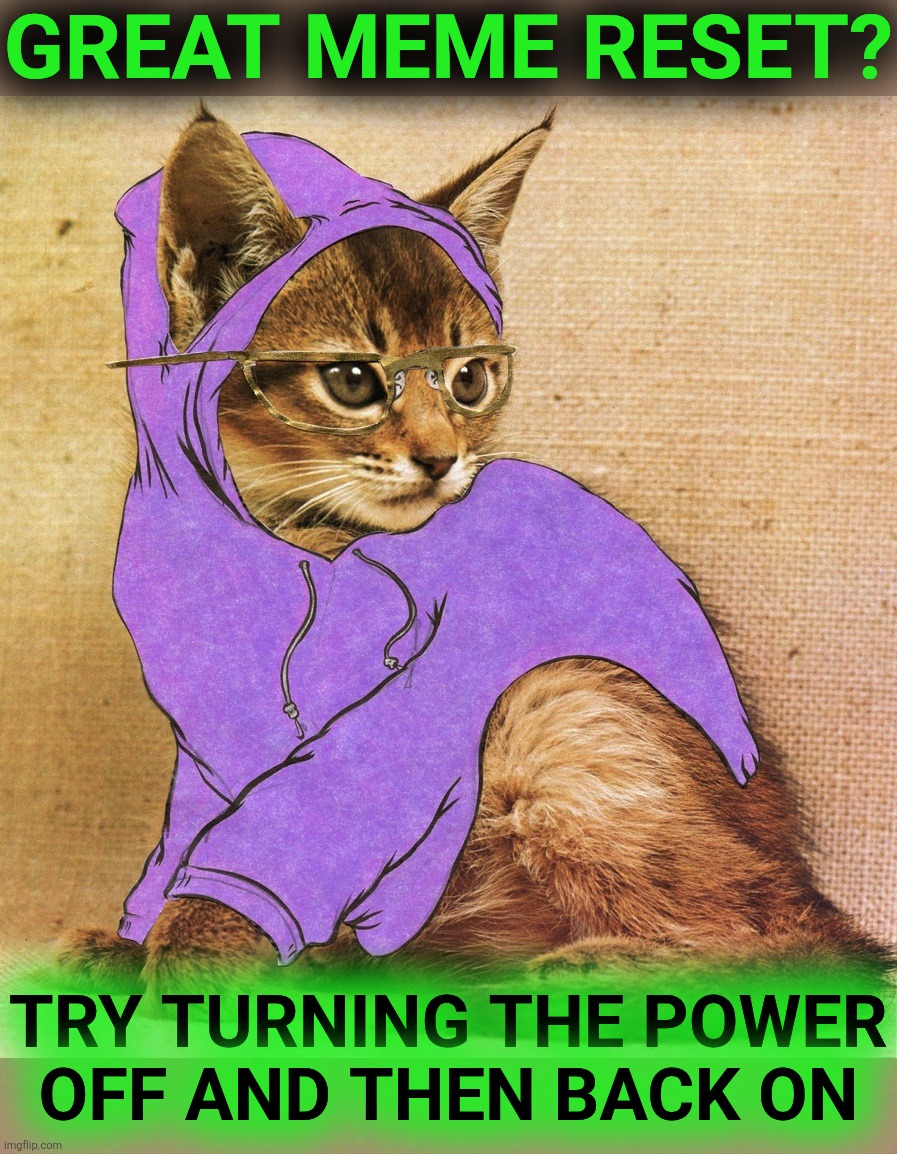 GREAT MEME RESET? TRY TURNING THE POWER
OFF AND THEN BACK ON | image tagged in hipster kitty | made w/ Imgflip meme maker