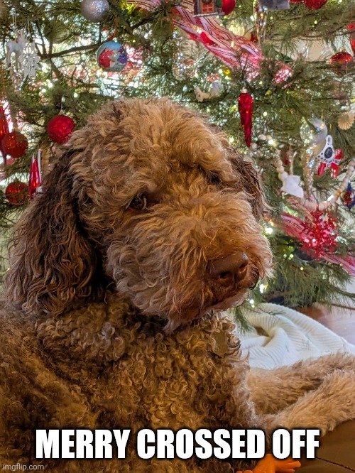 Merry crossed off | MERRY CROSSED OFF | image tagged in merry side eye | made w/ Imgflip meme maker