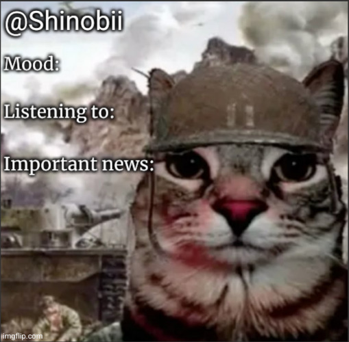 Shinobii Announcement Temp 1 | image tagged in shinobii announcement temp 1 | made w/ Imgflip meme maker