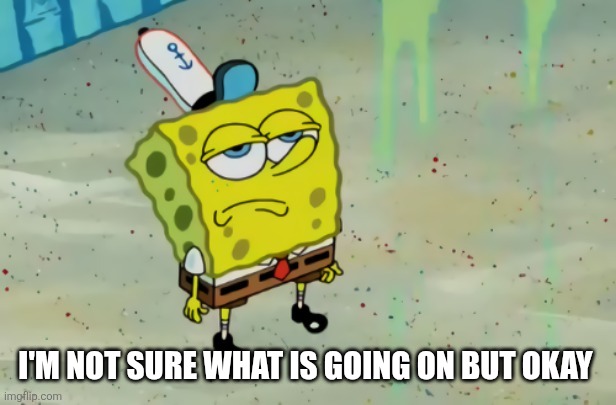 SpongeBob not scared | I'M NOT SURE WHAT IS GOING ON BUT OKAY | image tagged in spongebob not scared | made w/ Imgflip meme maker