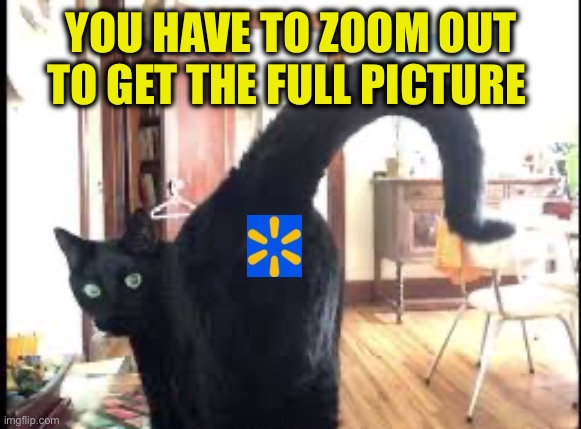 Cat butt | YOU HAVE TO ZOOM OUT TO GET THE FULL PICTURE | image tagged in cat butt | made w/ Imgflip meme maker