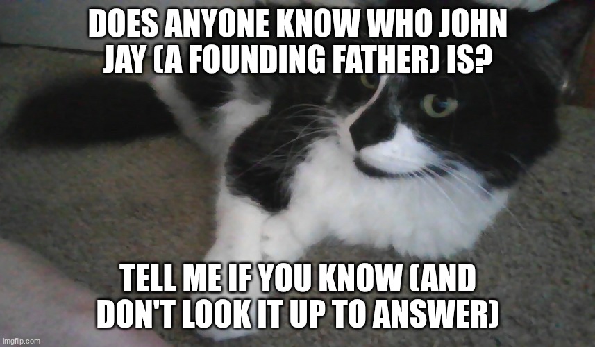 History question for you! | DOES ANYONE KNOW WHO JOHN JAY (A FOUNDING FATHER) IS? TELL ME IF YOU KNOW (AND DON'T LOOK IT UP TO ANSWER) | image tagged in fluffy tuxedo cat | made w/ Imgflip meme maker