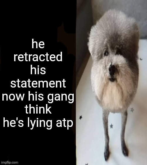 he made a statement blank | he retracted his statement
now his gang think he's lying atp | image tagged in he made a statement blank | made w/ Imgflip meme maker