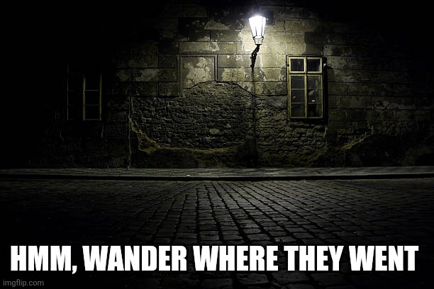 Dark ominous alley | HMM, WANDER WHERE THEY WENT | image tagged in dark ominous alley | made w/ Imgflip meme maker