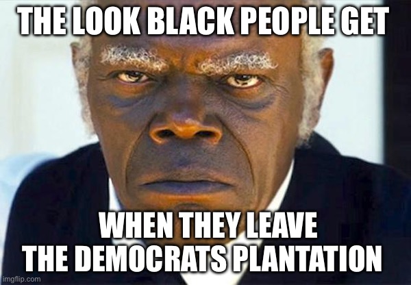 Samuel L. Jackson, Django | THE LOOK BLACK PEOPLE GET; WHEN THEY LEAVE THE DEMOCRATS PLANTATION | image tagged in samuel l jackson django | made w/ Imgflip meme maker
