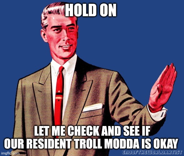 Whoa There Template | HOLD ON LET ME CHECK AND SEE IF OUR RESIDENT TROLL MODDA IS OKAY | image tagged in whoa there template | made w/ Imgflip meme maker