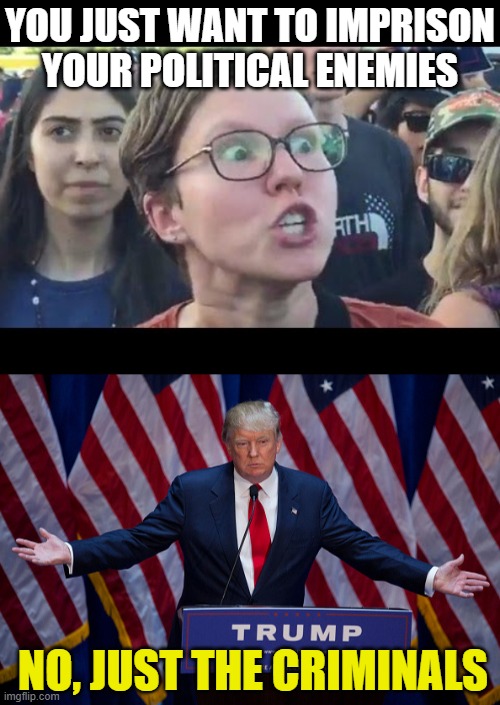 YOU JUST WANT TO IMPRISON YOUR POLITICAL ENEMIES; NO, JUST THE CRIMINALS | image tagged in angry sjw,donald trump | made w/ Imgflip meme maker