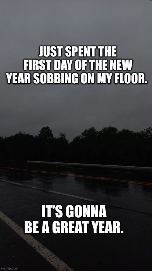 It’s fine | JUST SPENT THE FIRST DAY OF THE NEW YEAR SOBBING ON MY FLOOR. IT’S GONNA BE A GREAT YEAR. | image tagged in idk | made w/ Imgflip meme maker
