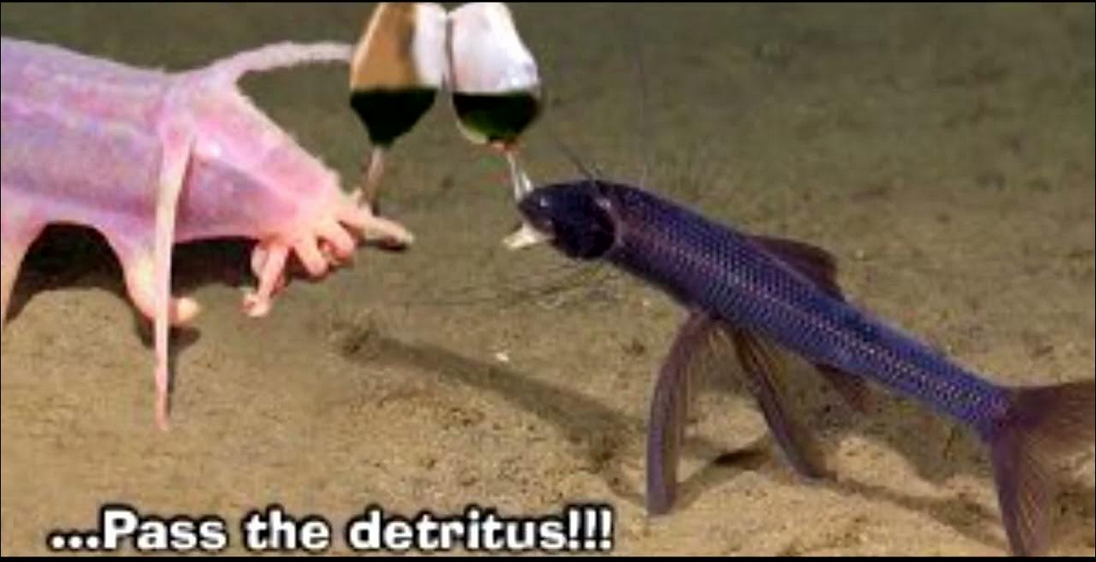 pass the detritus Blank Meme Template