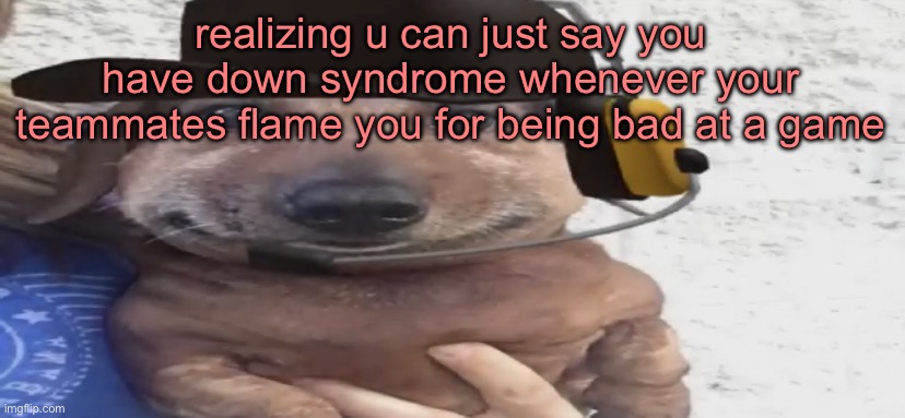 chucklenuts | realizing u can just say you have down syndrome whenever your teammates flame you for being bad at a game | image tagged in chucklenuts | made w/ Imgflip meme maker