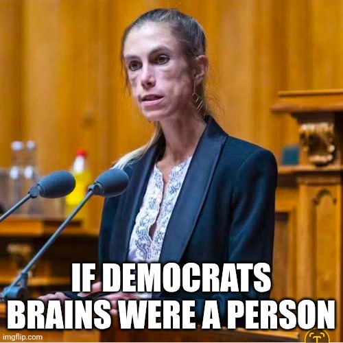 The accuracy is incredible! | IF DEMOCRATS BRAINS WERE A PERSON | image tagged in memes,politics,democrats,republicans,truth,funny | made w/ Imgflip meme maker