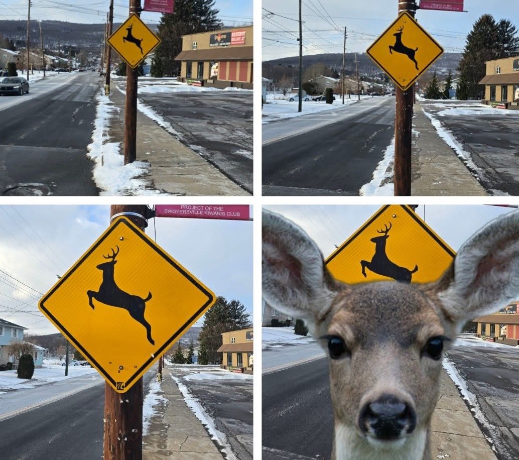 Deer xing Blank Meme Template