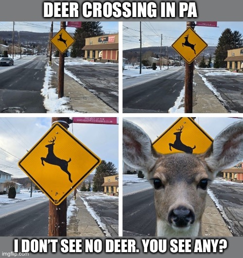 Thems Just Rats On Stilts | DEER CROSSING IN PA; I DON’T SEE NO DEER. YOU SEE ANY? | image tagged in deer xing,surprise,oh deer,rats on stilts | made w/ Imgflip meme maker