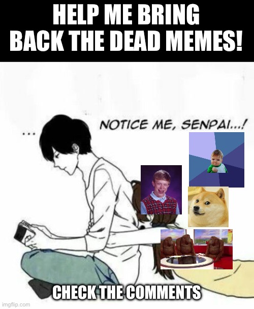 notice me senpai | HELP ME BRING BACK THE DEAD MEMES! CHECK THE COMMENTS | image tagged in notice me senpai,dead memes,bring them back guys,help me,bad luck brian,doge | made w/ Imgflip meme maker