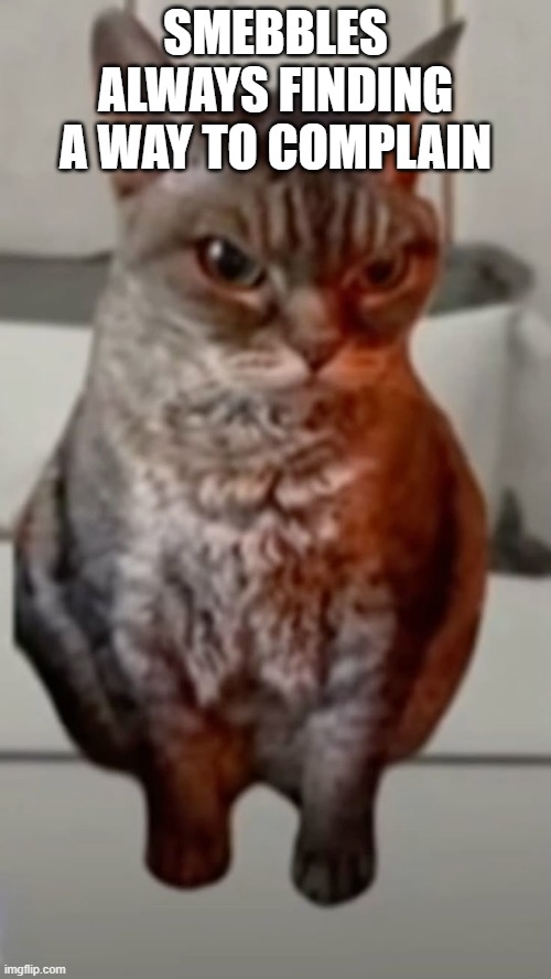 SMEBBLES ALWAYS FINDING A WAY TO COMPLAIN | made w/ Imgflip meme maker