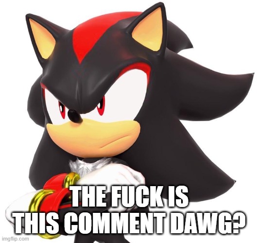 Shadow The Hedgehog | THE FUCK IS THIS COMMENT DAWG? | image tagged in shadow the hedgehog | made w/ Imgflip meme maker