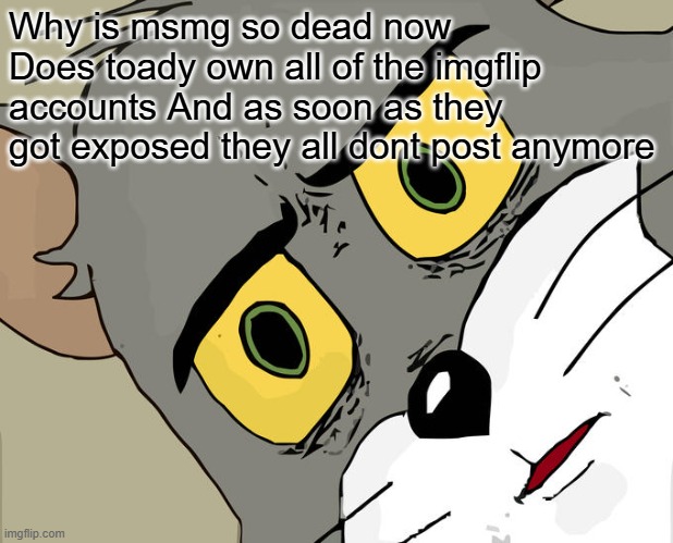 Unsettled Tom | Why is msmg so dead now Does toady own all of the imgflip accounts And as soon as they got exposed they all dont post anymore | image tagged in memes,unsettled tom | made w/ Imgflip meme maker