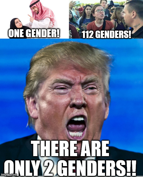 And that's all! | ONE GENDER! 112 GENDERS! THERE ARE ONLY 2 GENDERS!! | image tagged in islam,2 genders,gender identity,donald trump,memes,politics | made w/ Imgflip meme maker