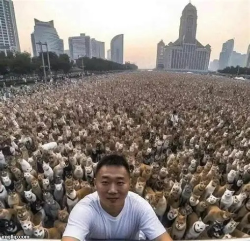 Kitties everywhere :D | made w/ Imgflip meme maker