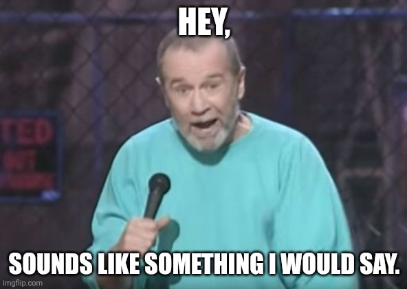 HEY, SOUNDS LIKE SOMETHING I WOULD SAY. | image tagged in george carlin | made w/ Imgflip meme maker