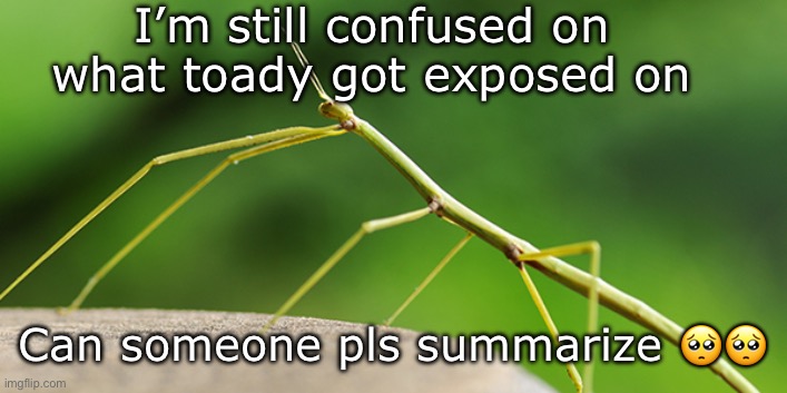 TheWalkingStick template | I’m still confused on what toady got exposed on; Can someone pls summarize 🥺🥺 | image tagged in thewalkingstick template | made w/ Imgflip meme maker
