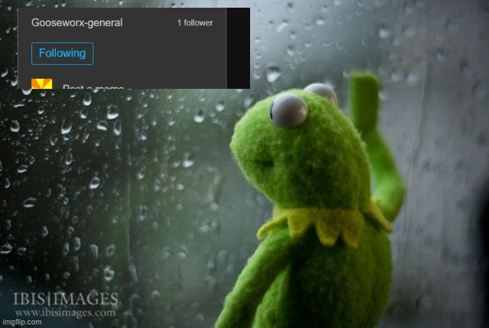 Why does this steam only have 1 follower???  Gooseworx fans should follow this steam | image tagged in kermit window,gooseworx | made w/ Imgflip meme maker
