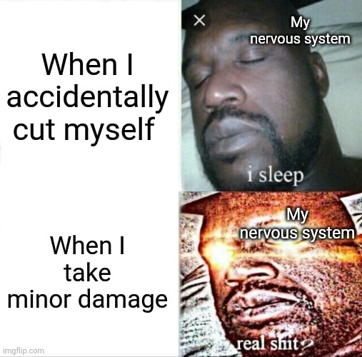 Sleeping Shaq Meme | My nervous system; When I accidentally cut myself; My nervous system; When I take minor damage | image tagged in memes,sleeping shaq | made w/ Imgflip meme maker
