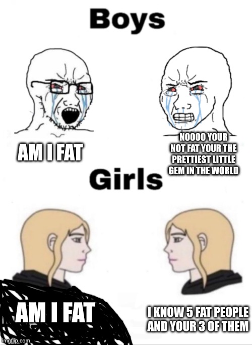 Idk what to Title | NOOOO YOUR NOT FAT YOUR THE PRETTIEST LITTLE GEM IN THE WORLD; AM I FAT; AM I FAT; I KNOW 5 FAT PEOPLE AND YOUR 3 OF THEM | image tagged in girls vs boys,funny,memes,fat,girls be like,boys be like | made w/ Imgflip meme maker