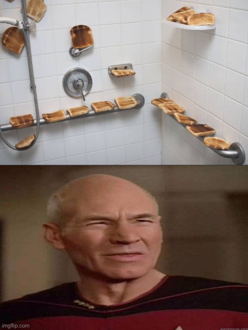 What The Actual F... | image tagged in excuse me wtf,what a terrible day to have eyes,toast,shower,picard wtf,why can't you just be normal | made w/ Imgflip meme maker