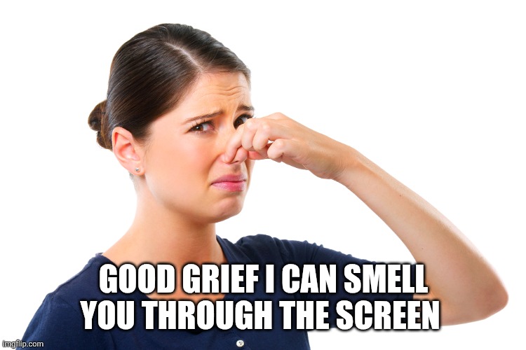 woman holding her nose | GOOD GRIEF I CAN SMELL YOU THROUGH THE SCREEN | image tagged in woman holding her nose | made w/ Imgflip meme maker