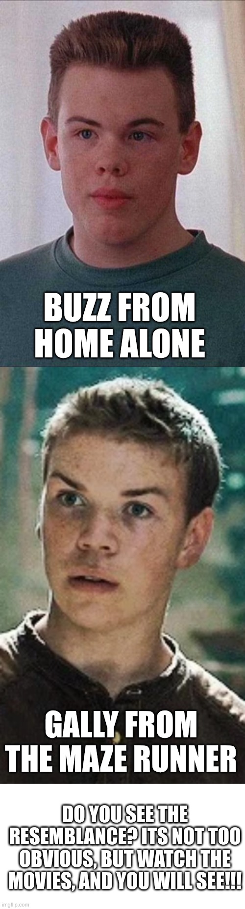 BUZZ FROM HOME ALONE; GALLY FROM THE MAZE RUNNER; DO YOU SEE THE RESEMBLANCE? ITS NOT TOO OBVIOUS, BUT WATCH THE MOVIES, AND YOU WILL SEE!!! | image tagged in blank white template,meme | made w/ Imgflip meme maker