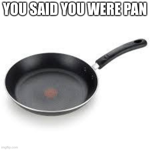 Pan | YOU SAID YOU WERE PAN | image tagged in pan | made w/ Imgflip meme maker
