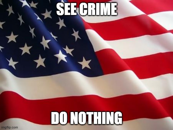 How the US handles crime. | SEE CRIME; DO NOTHING | image tagged in american flag | made w/ Imgflip meme maker